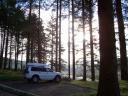 Car and sunlight through the trees