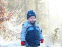 Morgan in the Frost