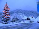 Snow in kranjska Gora