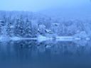Snowy Scene in Slovenia
