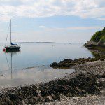 The estuary from Picnic Island
