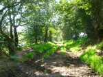The path to the cache