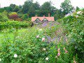 Herbaceous Border