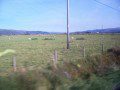 Taken from a moving car