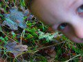 Morgan with Fungi 4