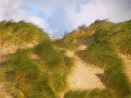 Sand Dunes