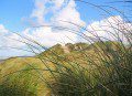 Dunes - Ynyslas