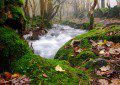 Mountain Stream Cadair Idris