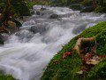 Mountain Stream Cadair Idris