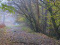 Mist and Murk at the bottom of Cadair Idris