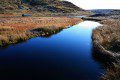 Mountain Stream