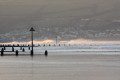 Winter Waves