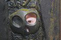 Eye Eye!