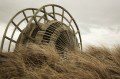 Ynyslas 'Snail'