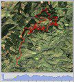 Dyfi Enduro 2009