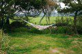 Garden Hammock