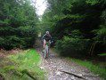 Dyfi Enduro Descent