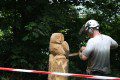 Chainsaw Sculpture