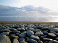 Ynyslas Beach