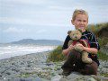 Teddy Twt
