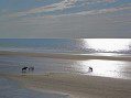 Beach Scene