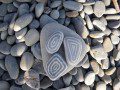 Pebble Art