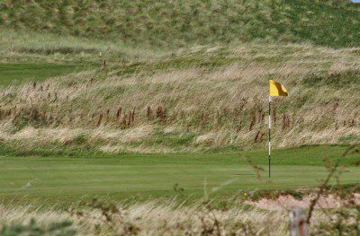 Golf?