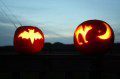 Pumpkins