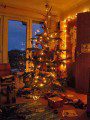 Fairy Lights