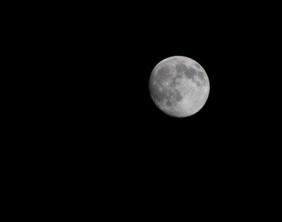 Winter Moon