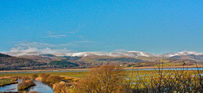 IMG_4870