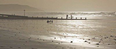 Golden beach light