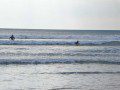 Surfing in Wales