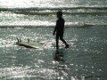 Surf Dude
