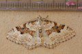 Silver-ground Carpet