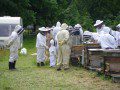 Beekeepers Meeting