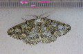 Brussels Lace