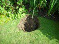 Hole for Sump