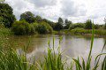 Severn Farm Pond