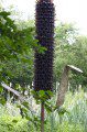 Bullrush Sculpture