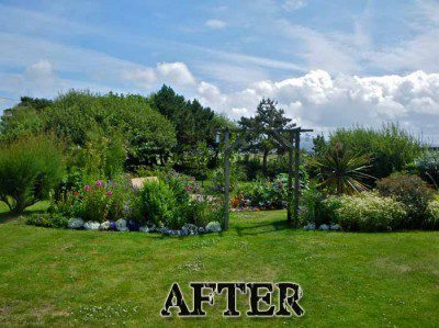 Garden Photo