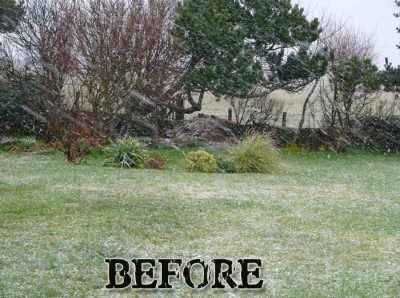 Garden Photo