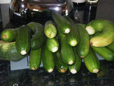 Courgette Glut