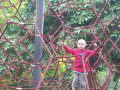 Climbing Frame