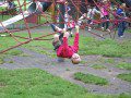 Little Monkey