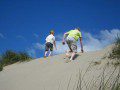 Climb to the top