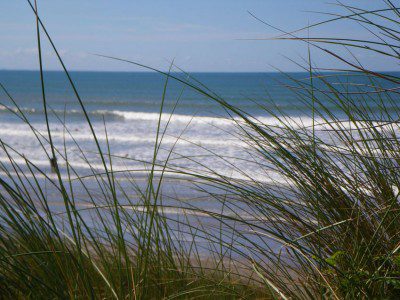 Surf's Up