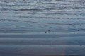 Where land meets Sea