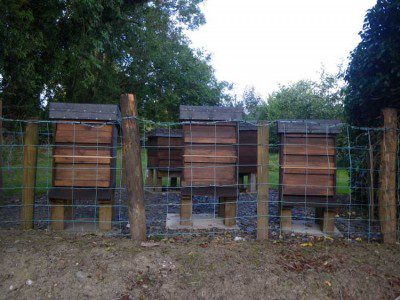 IMGP1031 Apiary