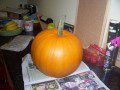 The Pumpkin